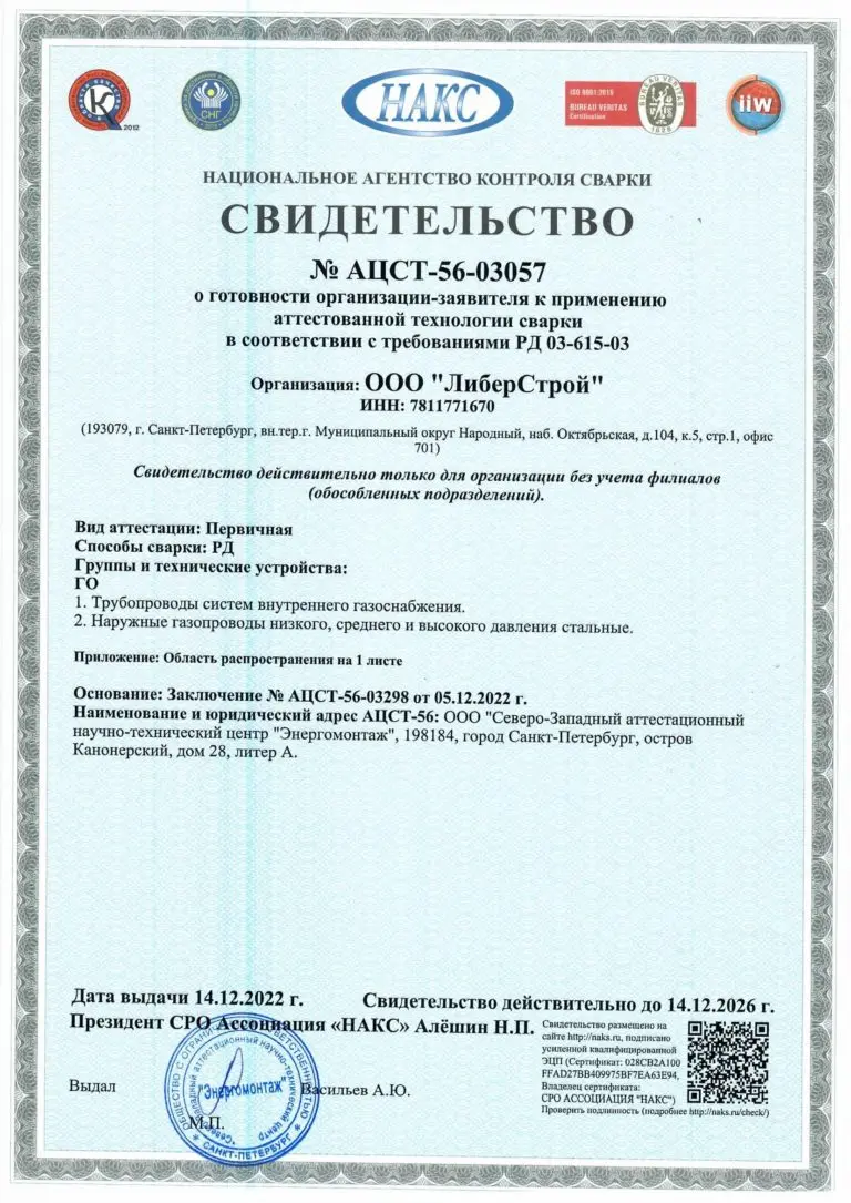 Сертификат 1