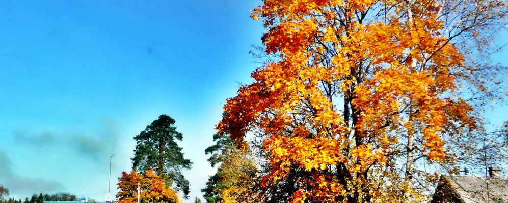 Газификация частного дома в Каложицы, Ленинградская область