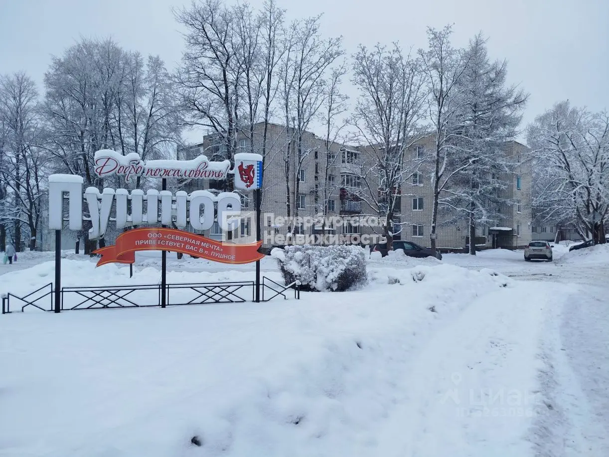 Газификация частного дома в Пушное, Ленинградская область