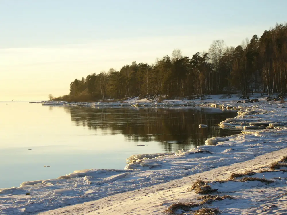 Газификация частного дома в Ушково, Ленинградская область